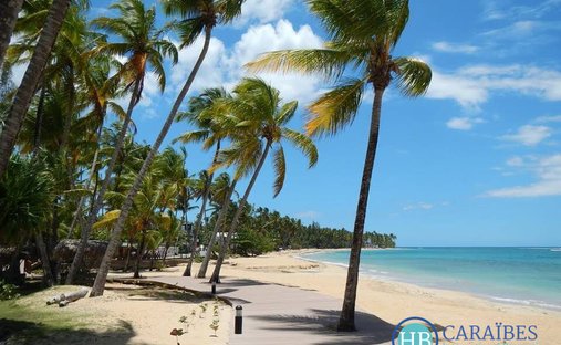 Las Terrenas, Samaná Province, Dominican Republic 1