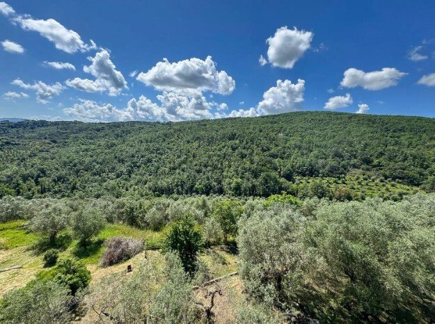 Country House in Mosciano - Casignano - Giogoli, Scandicci, Tuscany 4 - 16401915