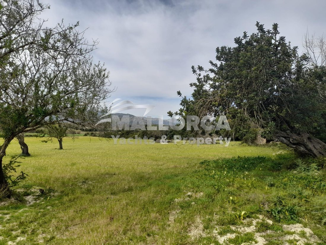 Land in Alcudia, Balearic Islands, Spain 4 - 16401916