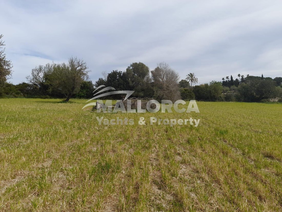 Land in Alcudia, Balearic Islands, Spain 3 - 16401916