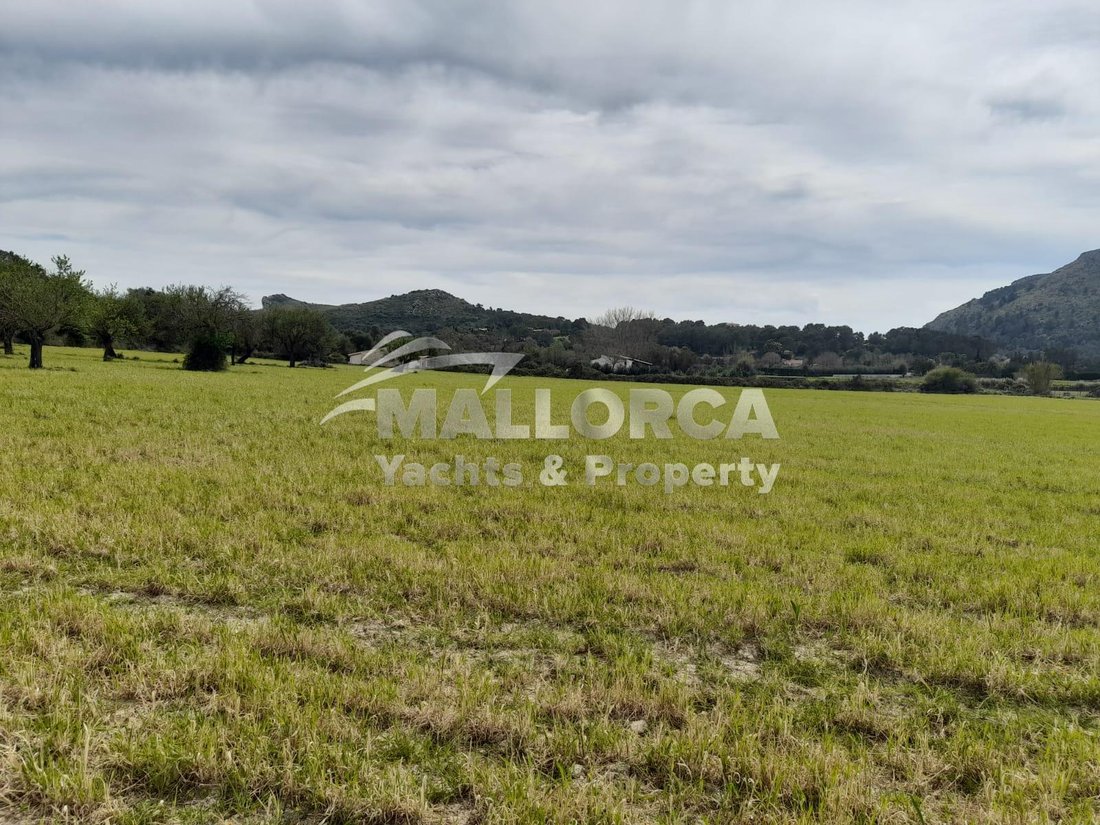 Land in Alcudia, Balearic Islands, Spain 5 - 16401916