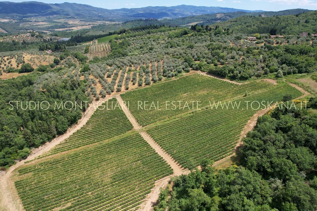 Farm Ranch in Center, San Casciano in Val di Pesa, Tuscany 1 - 16402101