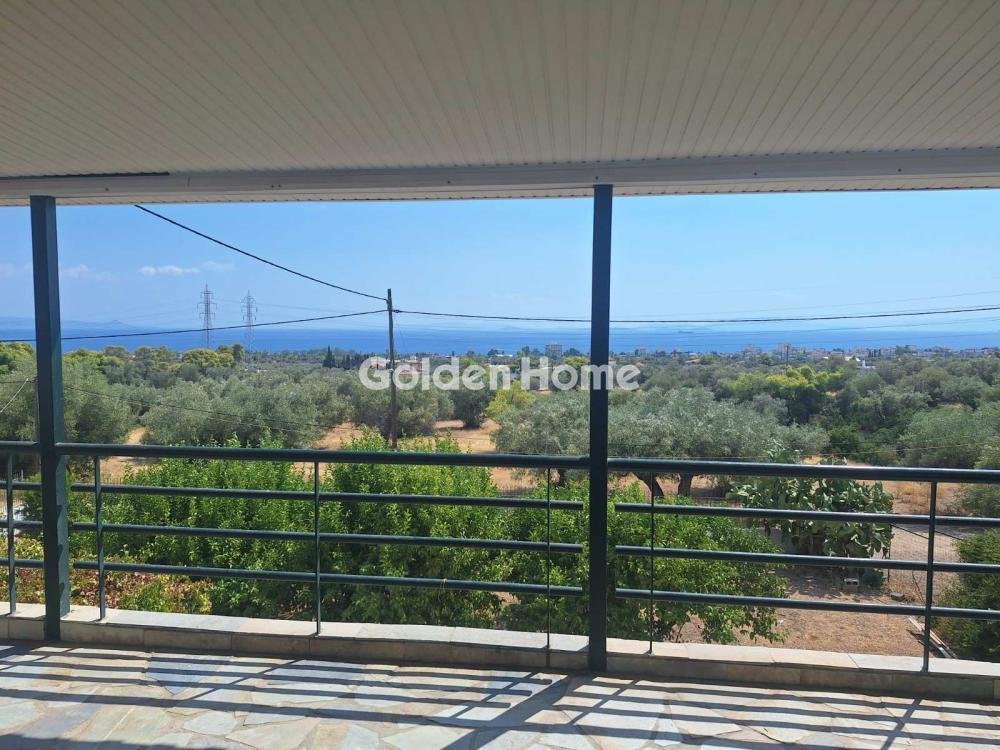 House in Agioi Theodoroi, Peloponnese, Western Greece and the Ionian, Greece 5 - 16403075