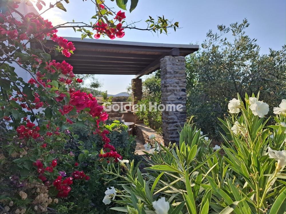 House in Antiparos, Aegean, Greece 5 - 16403083