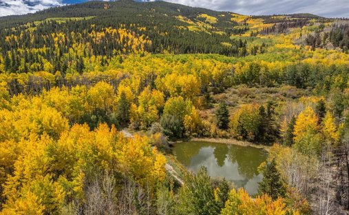 Terreno a Twin Lakes, Colorado, Stati Uniti 1