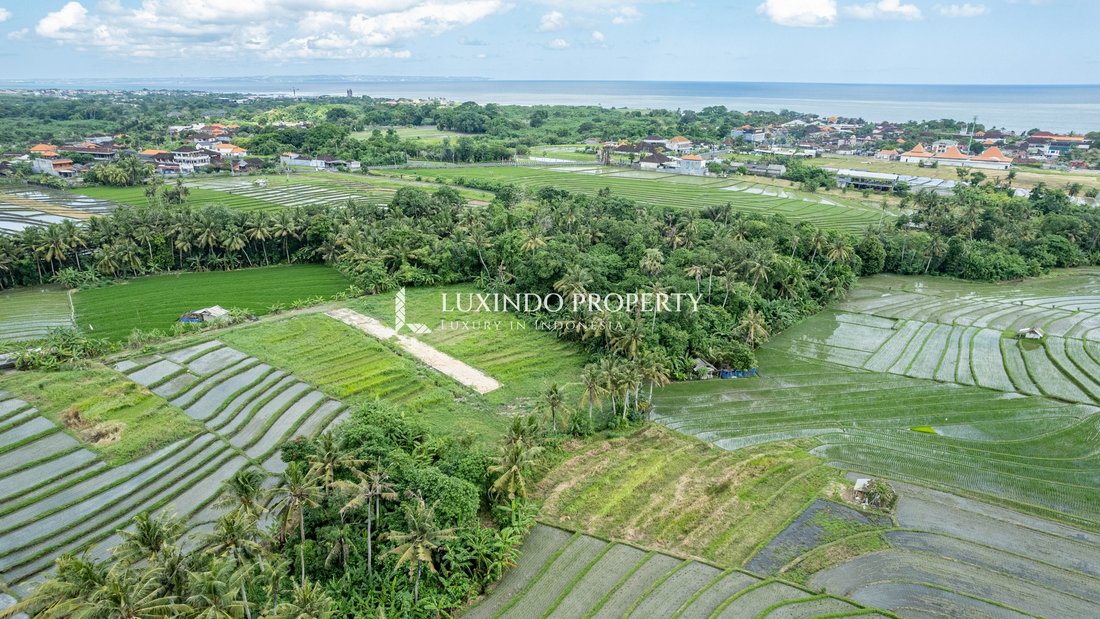 Land in Kecamatan Kediri, Bali, Indonesia 1 - 16405351