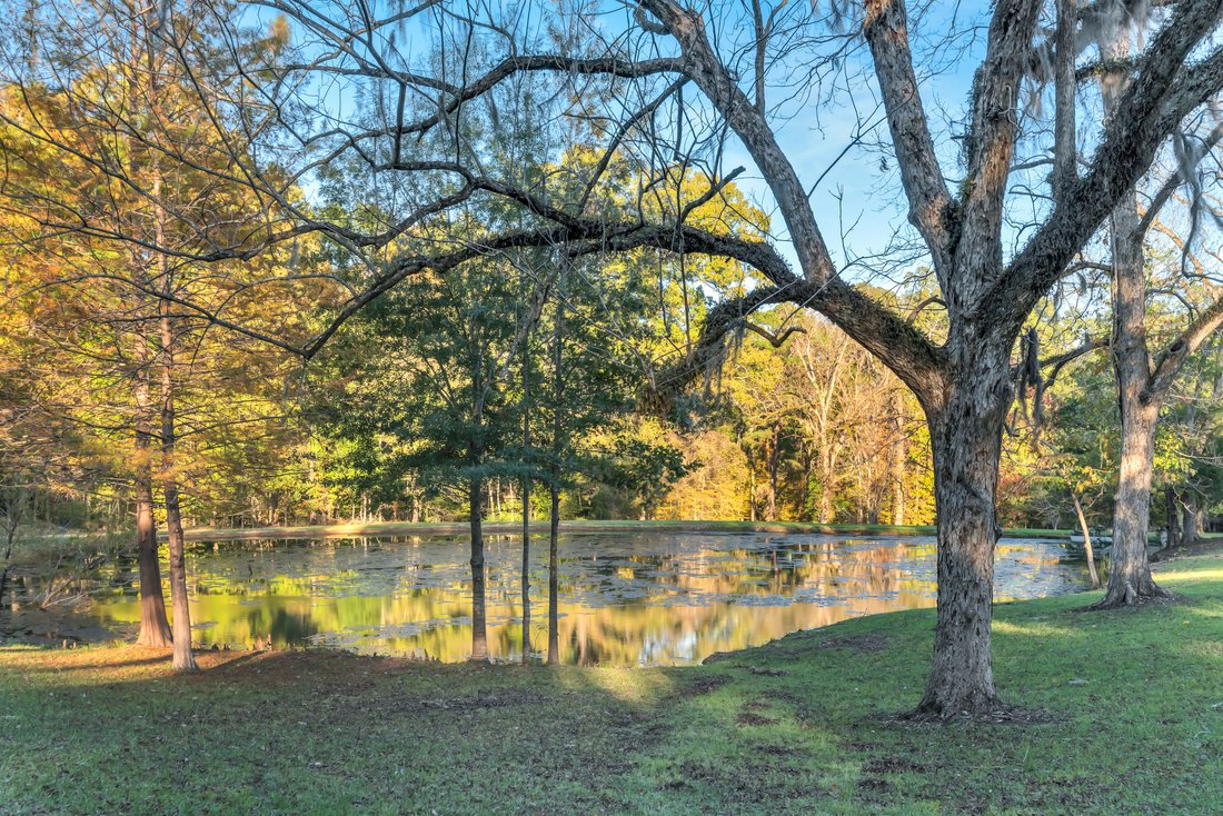 Land in Natchez, Mississippi, United States 1 - 16408009