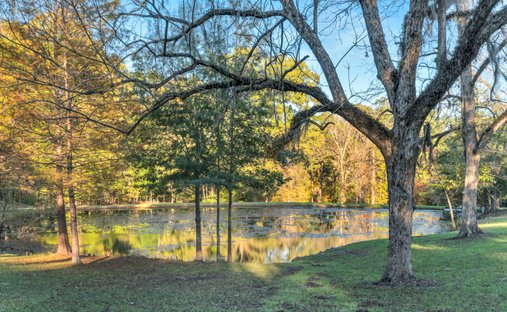 Terreno a Natchez, Mississippi, Stati Uniti 1