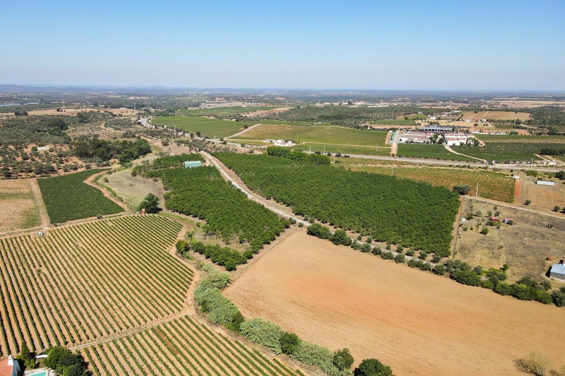 Land in Estremoz (Santa Maria e Santo Andre), Évora District, Portugal 5 - 16408014