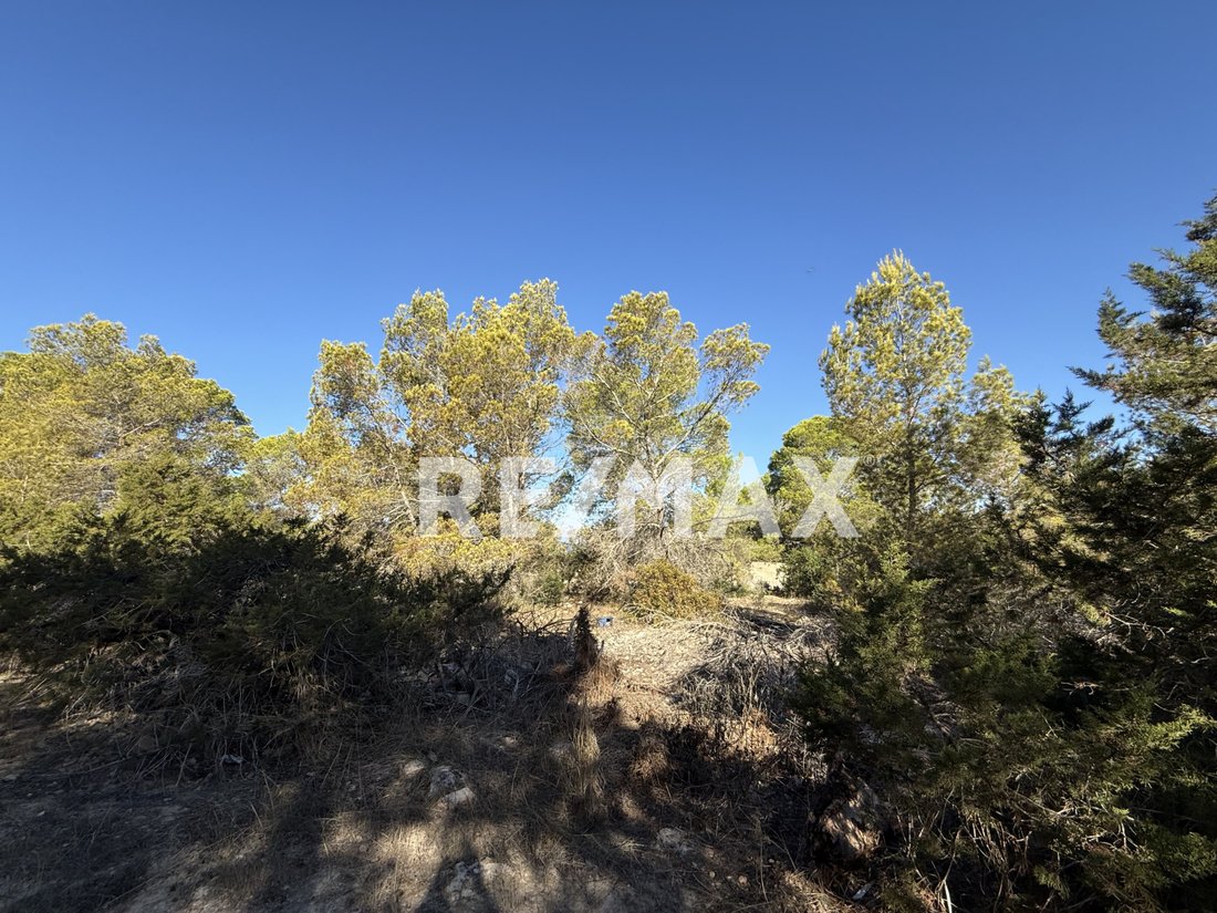 Finca in Sant Josep de sa Talaia, Balearic Islands, Spain 3 - 16406033