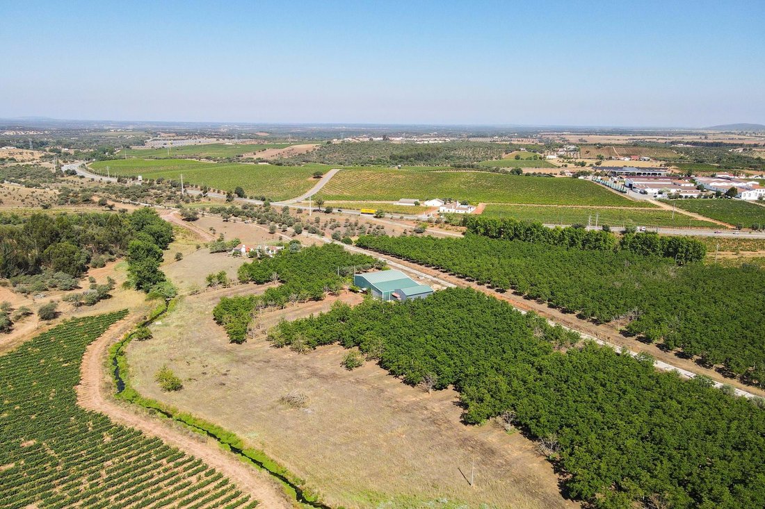 Land in Estremoz (Santa Maria e Santo Andre), Évora District, Portugal 4 - 16408014