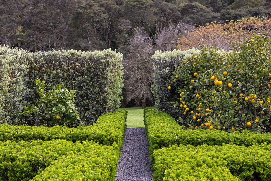 Land in Auckland, Auckland, New Zealand 5 - 16406786