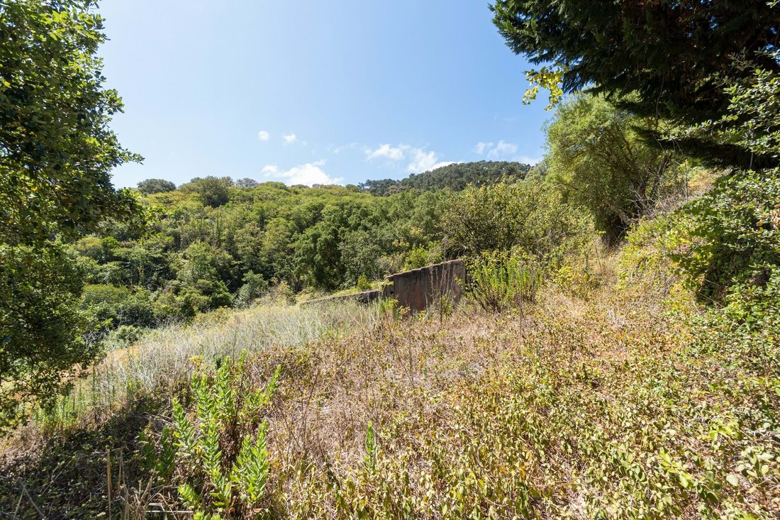 Farm Ranch in Colares, Lisbon, Portugal 4 - 16408000
