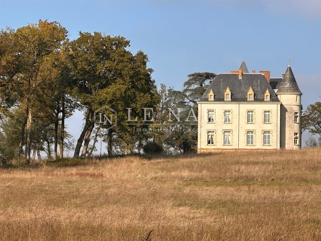 Schloss in Sainte-Hermine, Saint-Jean-d'Hermine, Frankreich 2 - 16406321