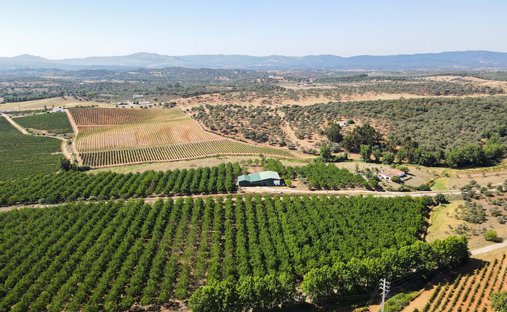 Land in Estremoz (Santa Maria e Santo Andre), Distrikt Évora, Portugal 1