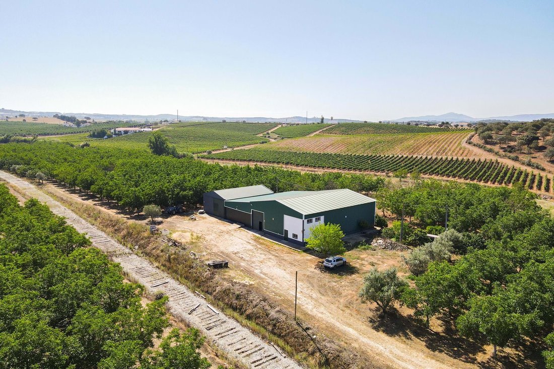 Land in Estremoz (Santa Maria e Santo Andre), Évora District, Portugal 2 - 16408014
