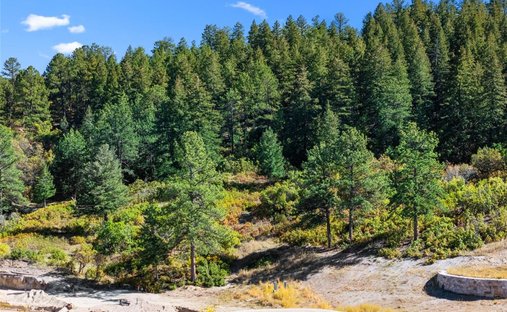 Terreno a Castle Rock, Colorado, Stati Uniti 1