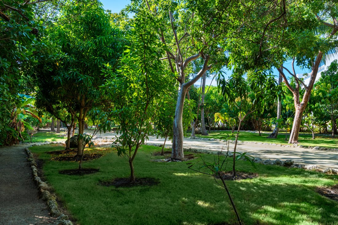 House in Islamorada, Florida, United States 5 - 16408197