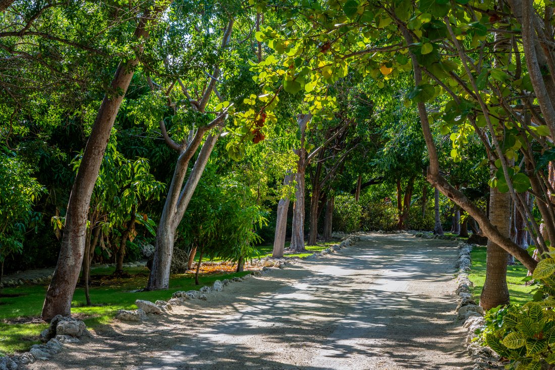 House in Islamorada, Florida, United States 3 - 16408197