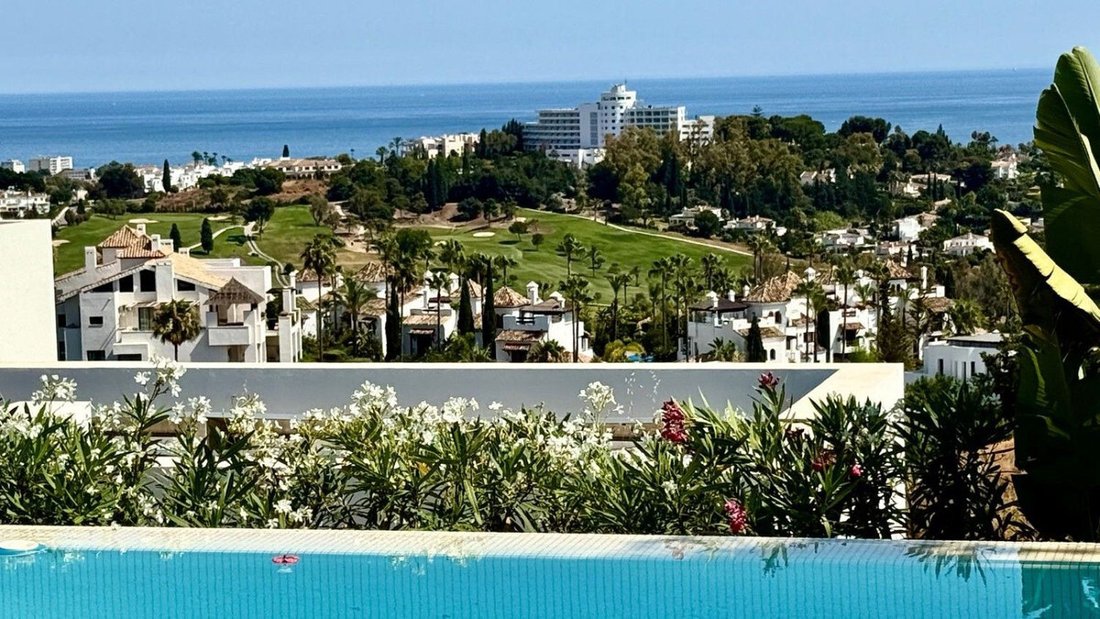 Villa in Centro, Malaga, Spain 5 - 16413111