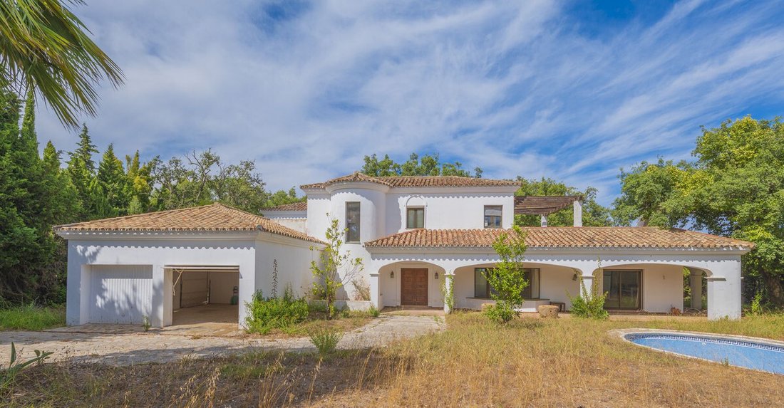 Villa in Centro, Malaga, Spain 2 - 16413127