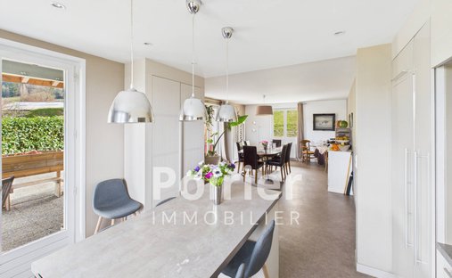 Castle for Sale in Bons-en-Chablais, Auvergne-Rhône-Alpes, France