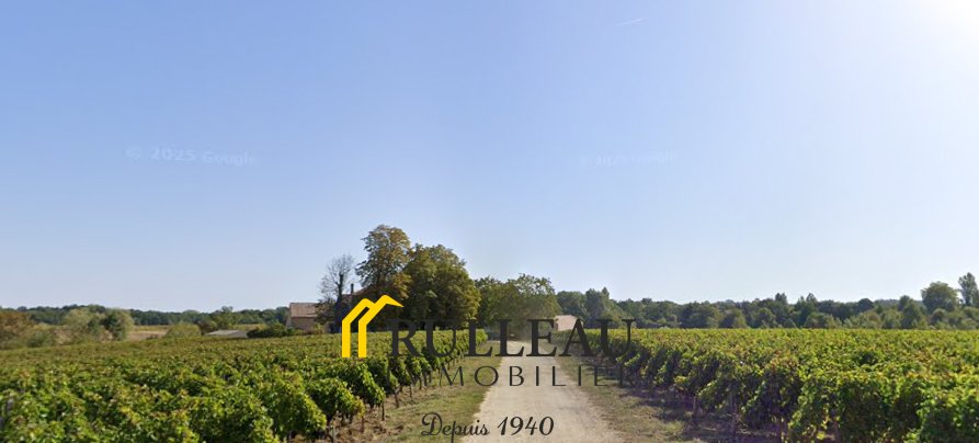 Estate in Berson, Nouvelle-Aquitaine, France 1 - 16409181
