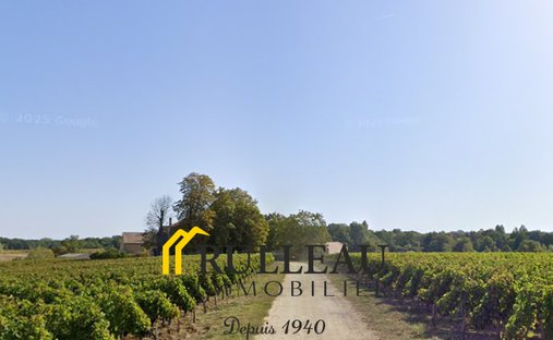 Estate in Berson, Nouvelle-Aquitaine, France 1