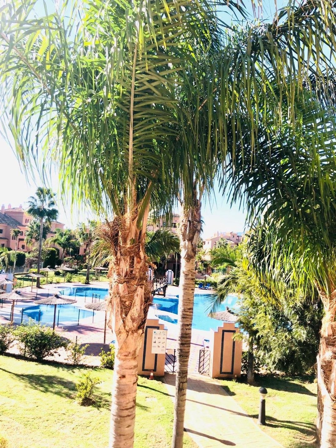 Apartment in Atalaya-Isdabe, Estepona, Andalusia 5 - 16413149