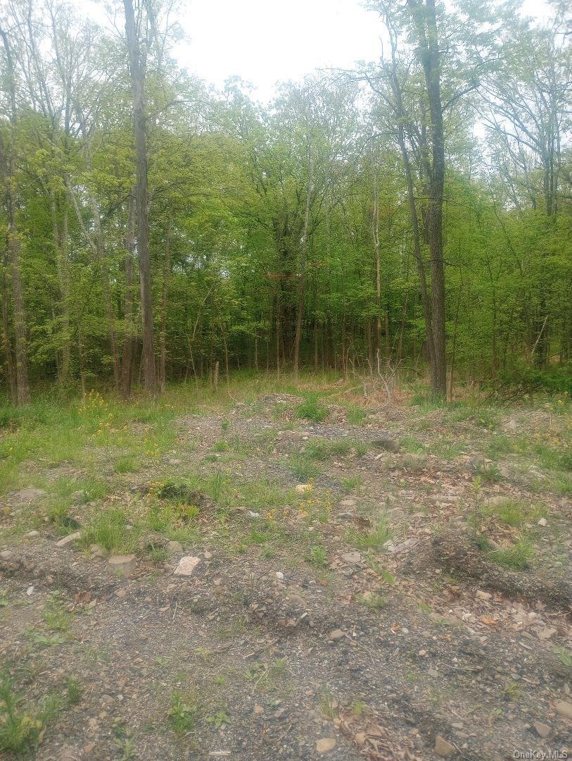 Land in Westtown, New York, United States 3 - 16410242