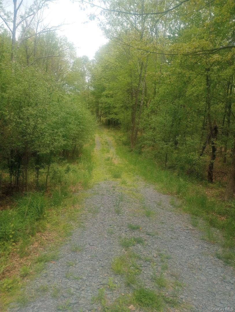 Land in Westtown, New York, United States 2 - 16410242
