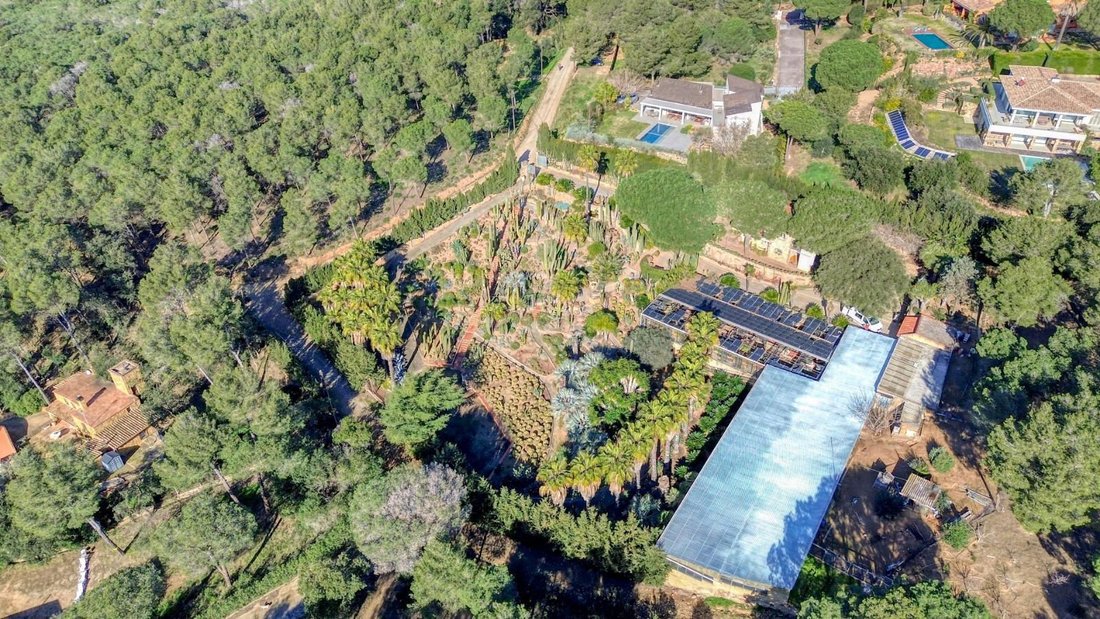 Villa in Begur, Catalonia, Spain 4 - 15992387