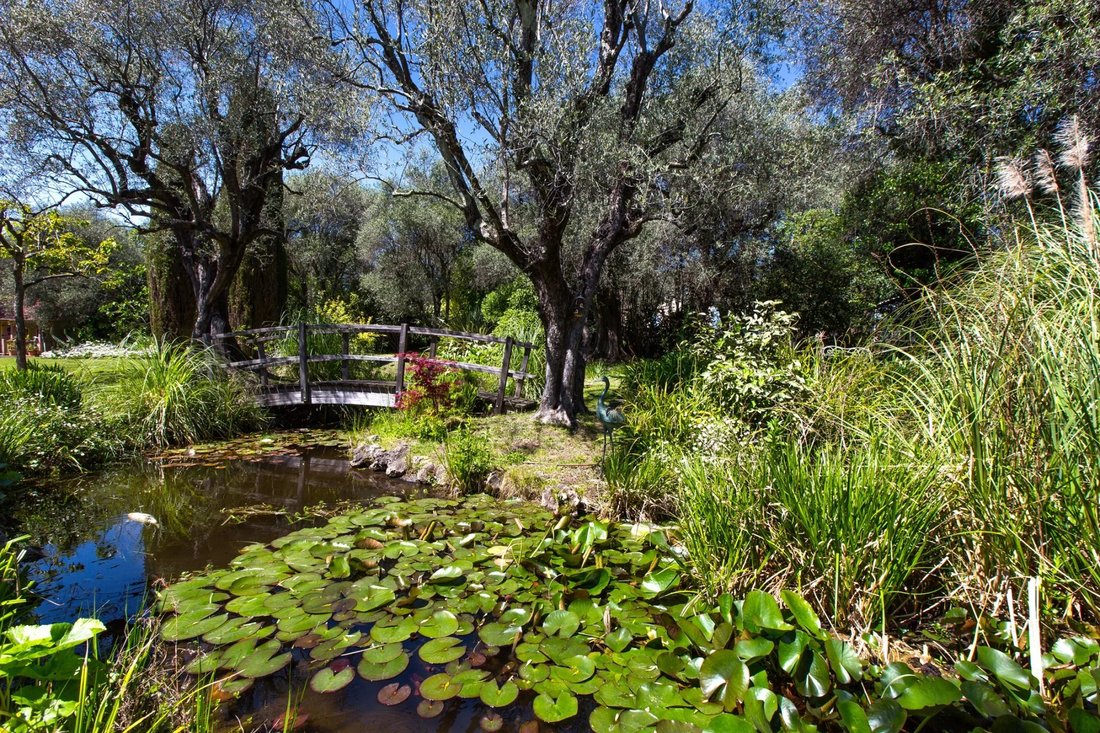 Villa in Grasse, Provence-Alpes-Côte d'Azur, France 2 - 16412902