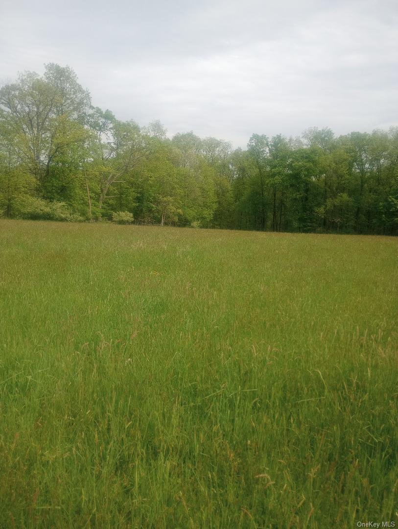 Land in Westtown, New York, United States 1 - 16410242