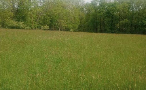 Land in Westtown, New York, United States 1