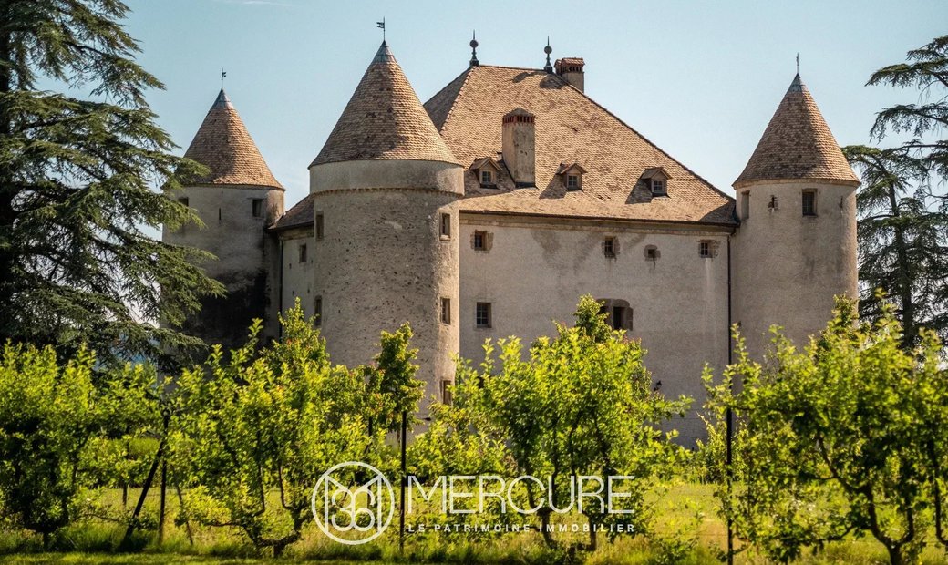 Castle for Sale in Bons-en-Chablais, Auvergne-Rhône-Alpes, France