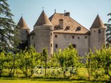 Castle for Sale in Bons-en-Chablais, Auvergne-Rhône-Alpes, France - 2