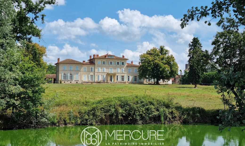 Castle for Sale in Feurs, Auvergne-Rhône-Alpes, France