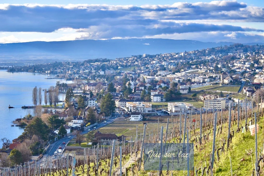 New Panoramic Apartment! Urgent!