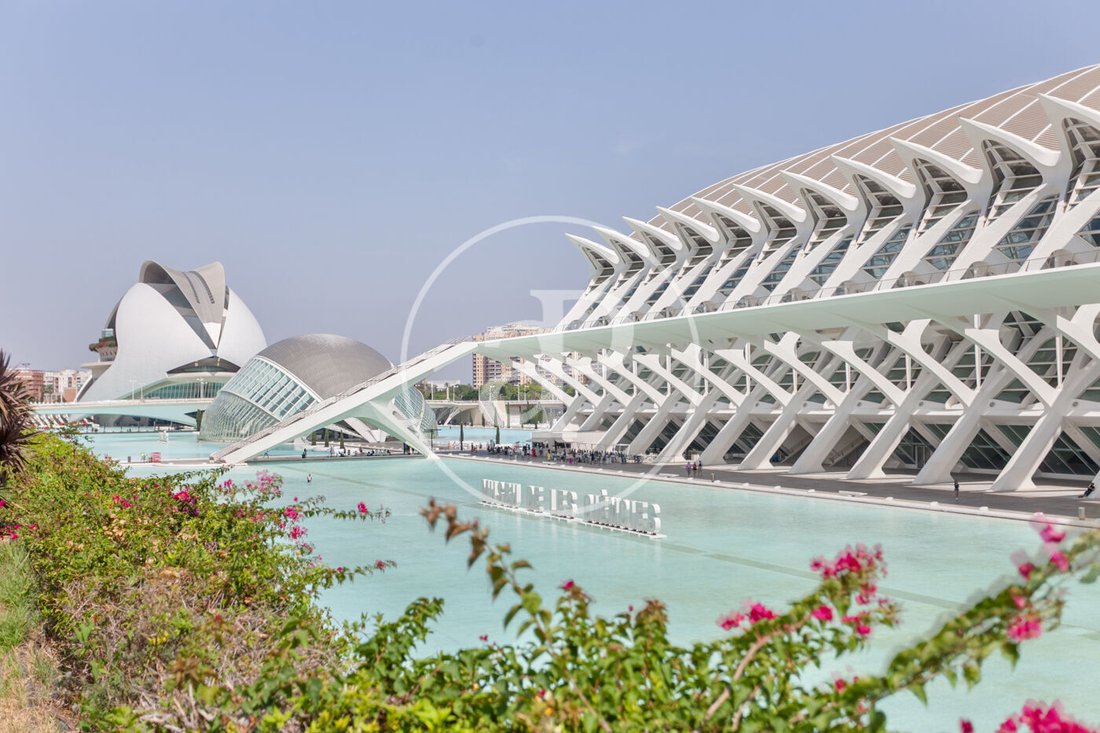 Apartment in Quatre Carreres, Valencia, Spain 1 - 16413660