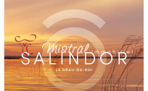 Apartment in Le Grau-du-Roi, Occitania, France 1