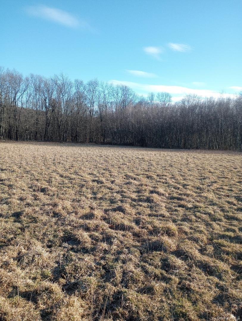 Land in Westtown, New York, United States 5 - 16410242