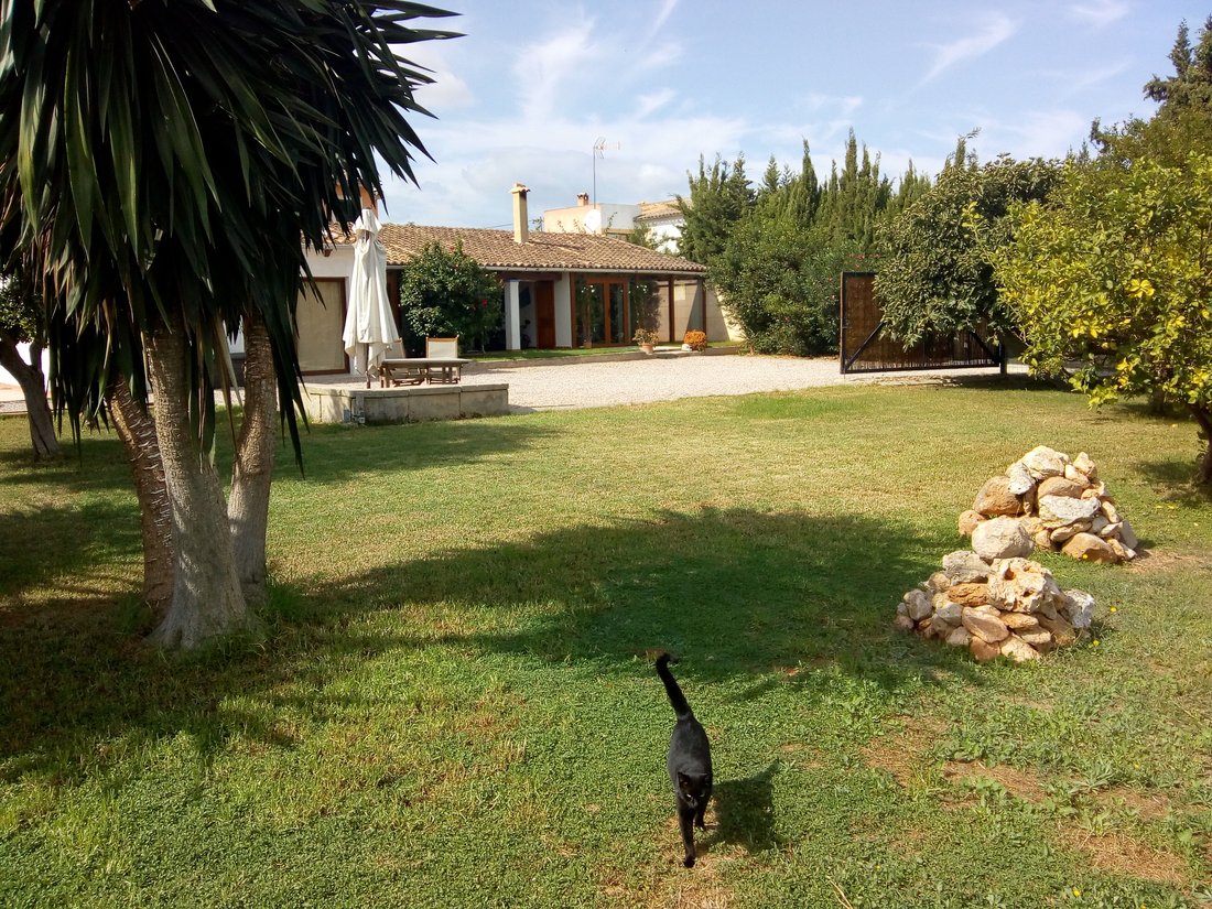 Villa in Palma, Balearic Islands, Spain 1 - 16411606