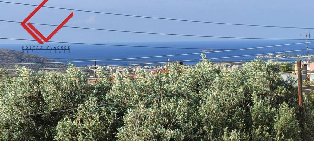 House in Kalyvia Thorikou, Attica, Greece 1 - 16413027