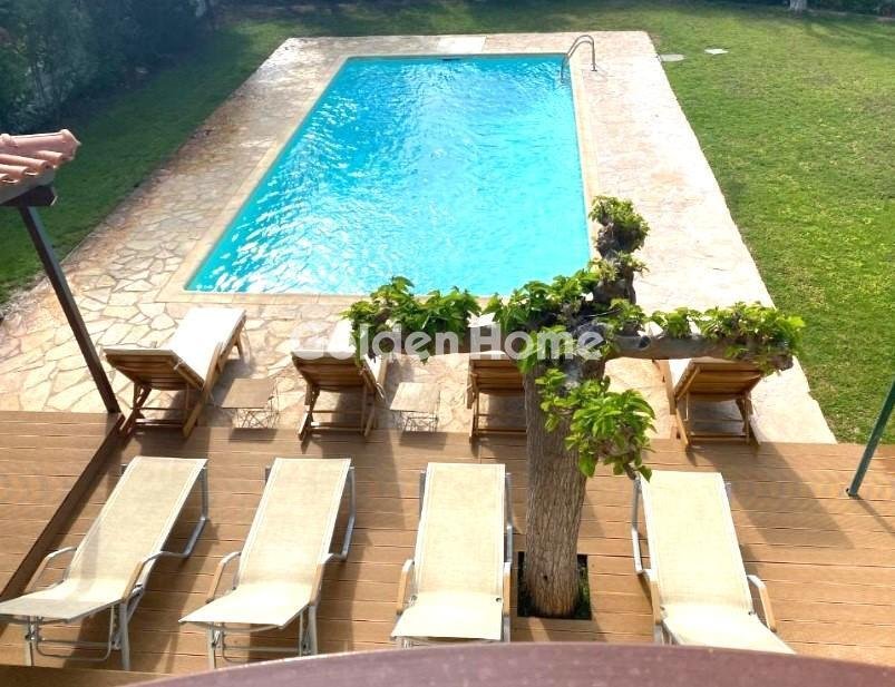 House in Palea Fokea, Attica, Greece 3 - 16410412