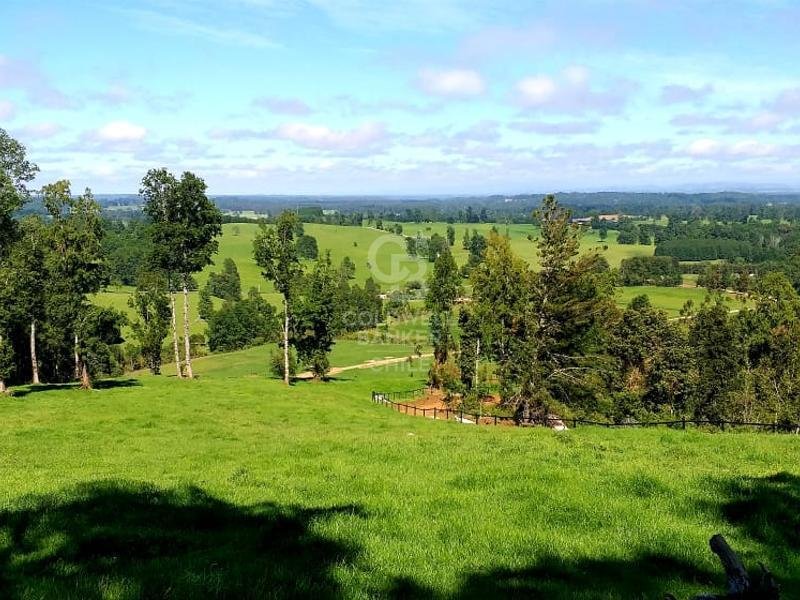 Estate in Futrono, Los Ríos, Chile 5 - 16412671