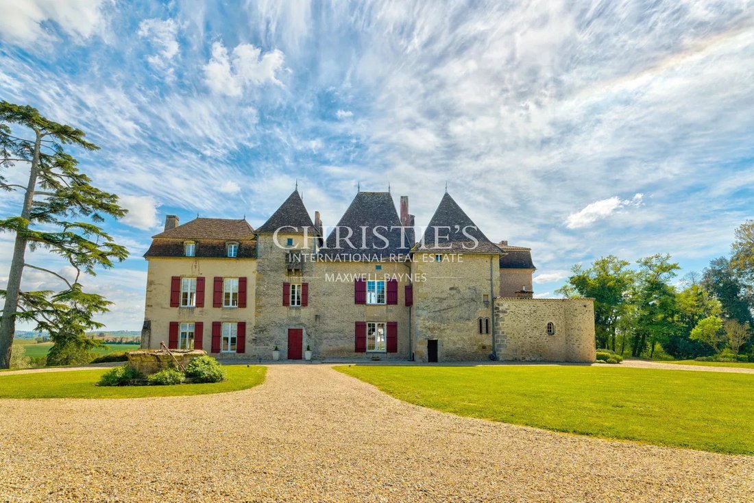 Castle in Mesterrieux, Nouvelle-Aquitaine, France 2 - 14750977