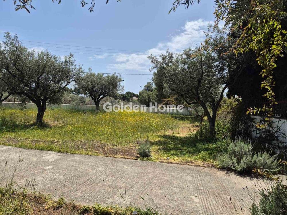 Land in Spetses, Attica, Greece 3 - 16410090