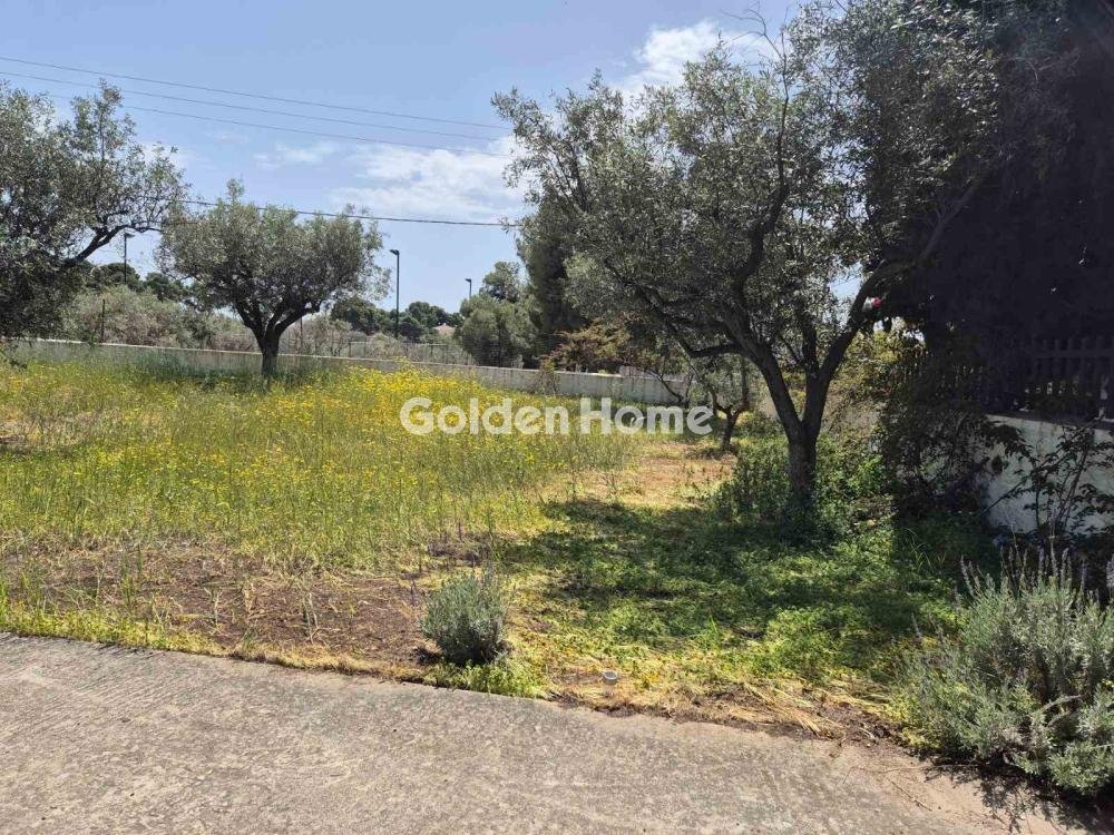 Land in Spetses, Attica, Greece 5 - 16410090
