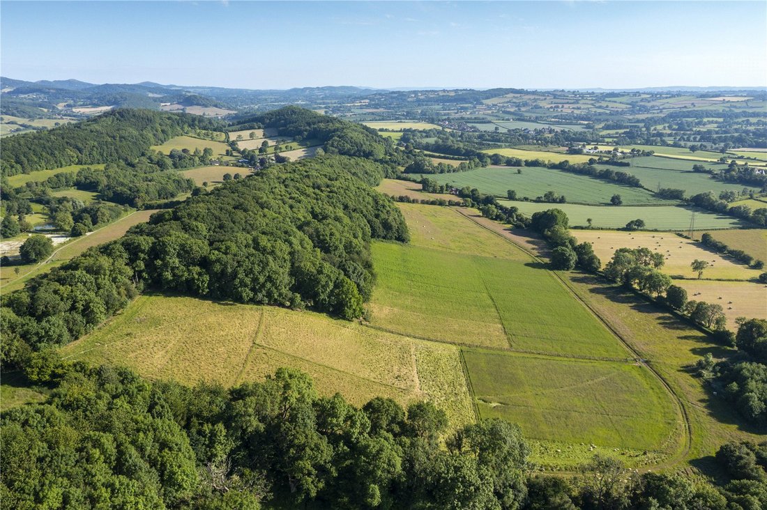 Land in Suckley, England 1 - 16410907
